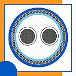 fahad-cables-2-core-16